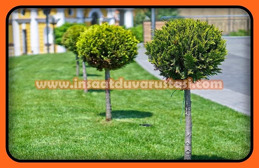 /PEYZAJ%20İŞÇİLİK%20FİYATLARI